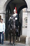The Horseguards of The House