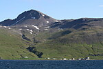 V Ingólfsfjordu
