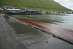 Pláž po grindadrápu (Fuglafjørður)