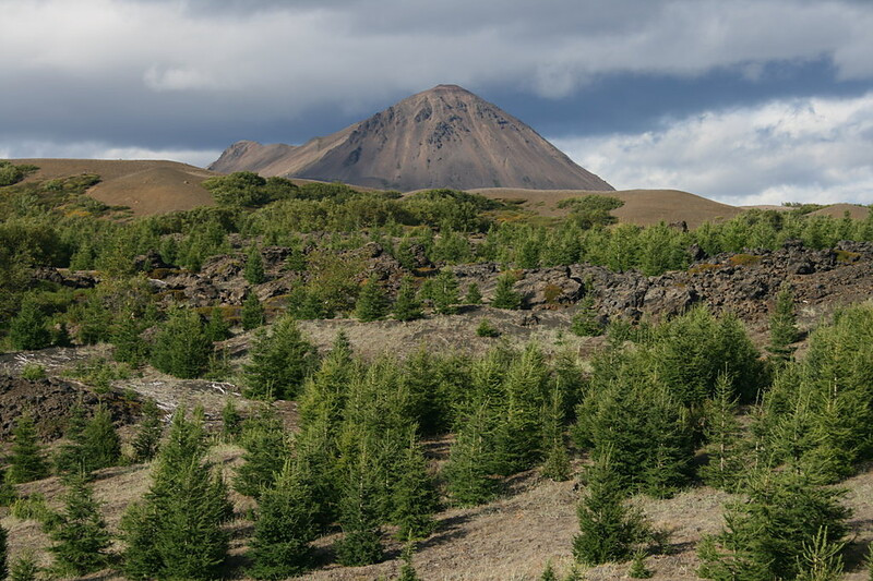 Výhled na Hlíðarfjall