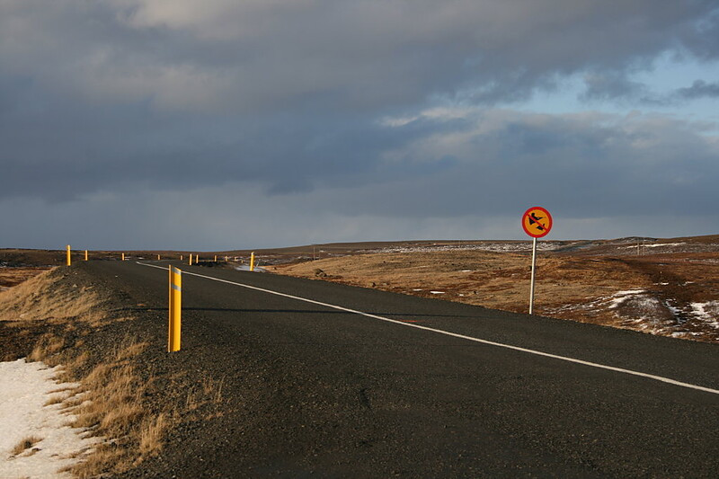 Dopravní značka "Zákaz lovu bělokurů"