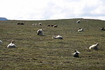 Rauðanes