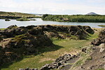 Kálfaströnd (Mývatn)