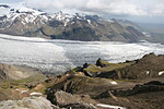 Skaftafellsjökull