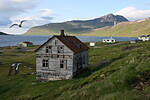 V Ingólfsfjordu