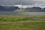 Haukadalur