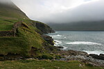 Viðareiði